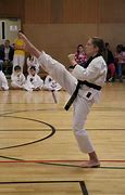 Image result for Front Kick