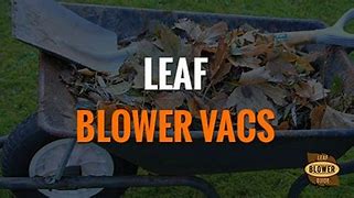 Image result for Leaf Blower and Vacuum