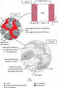 Image result for Catalyst Layer