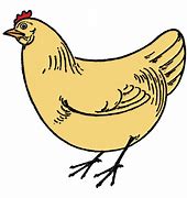 Image result for Chicken Drawing Jpg