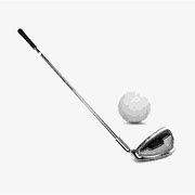 Image result for Golf Travel Stick