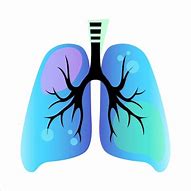 Image result for Lungs Logo Design