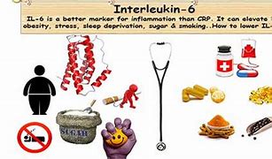 Image result for Interleukin-6