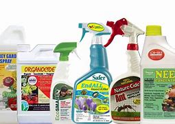 Image result for Organic Pesticides