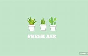 Image result for Mint Aesthetic PC Wallpaper