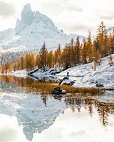 Image result for Lago Fod