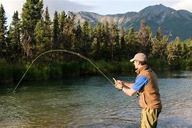 Image result for Flying Fishing