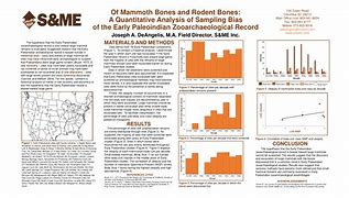 Image result for Rodent Bones