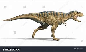 Image result for T-Rex Side View