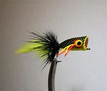 Image result for Fly Fishing with Poppers for Bluegills