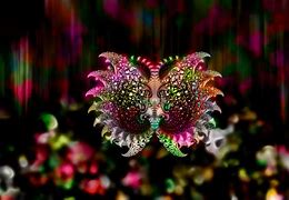 Image result for Butterfly Fractal