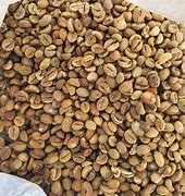 Image result for Robusta Coffee Beans