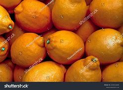 Image result for Lemon-Orange Hybrid