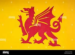 Image result for Red Dragon Welsh Flag