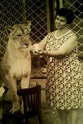 Image result for Mother Lioness