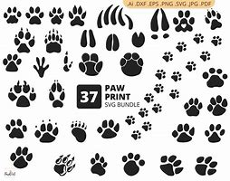 Image result for Paw Print SVG