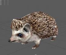 Image result for Hedgehog 3D Kids