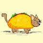 Image result for Flying Taco Cat