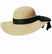 Image result for Big Sun Hat