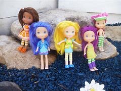 Image result for Strawberry Shortcake Berry Best Friends Dolls