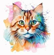 Image result for Sony Cat Art