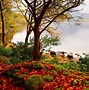 Image result for Beautiful Fall Season Scenery