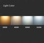 Image result for 6500K LED Bulb