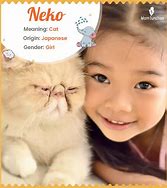 Image result for Que ES Un Neko