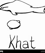 Image result for Olden Times Khat with Net