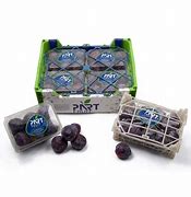 Image result for Black Plum Fruit