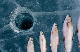 Image result for Ice Fishing Product