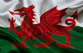 Image result for Wales Flag Dragon