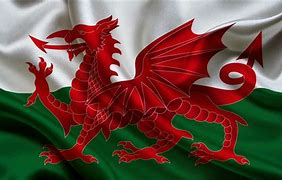 Image result for Welsh Dragon Flag