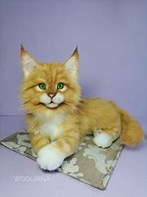 Image result for Maine Coon Cat Plush