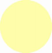 Image result for Circle Yellow T