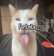 Image result for Fortnite Cat PFP