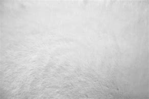 Image result for White Wool Blanket