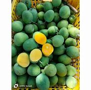 Image result for Mangga Mana Lagi Situbondo