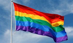 Image result for Rainbow Flag