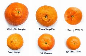 Image result for Mandarin Citrus and Furanocoumarin