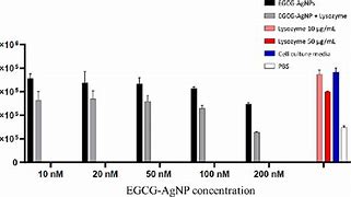 Image result for HUVEC Assay