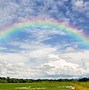 Image result for Did You Know Rainbow