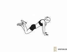 Image result for Knee Push-Up