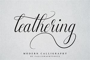 Image result for Modern Calligraphy Fonts