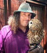 Image result for Weird Owl