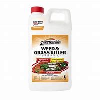 Image result for Spectrum Weed Killer Concentrate