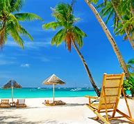 Image result for Tropical Beach BG