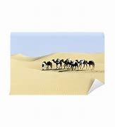 Image result for Camel Caravan Sphinx Wallpaper