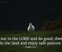 Image result for Psalm 37 13