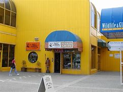 Image result for Tool Stores Anchorage